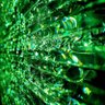 Фото профиля David Montoya