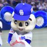 ドラゴンズ・ドアラ's profile picture