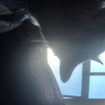blah's profile picture