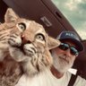 Profilbild von Ronnie Johnson