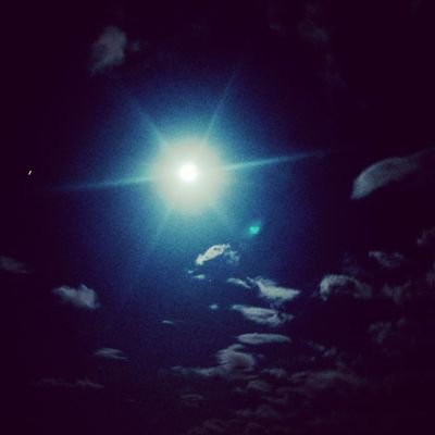 hiko's profile picture