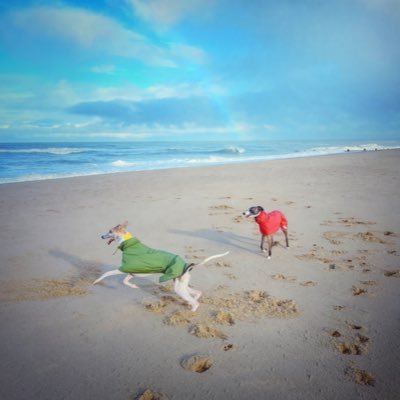 Jett and Mike's profile picture