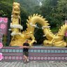 Nhatcr 的头像