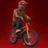 P. wils's profile picture