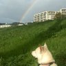 Profilbild von ザビオヤジ