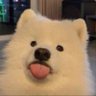 Nbibi profil fotoğrafı