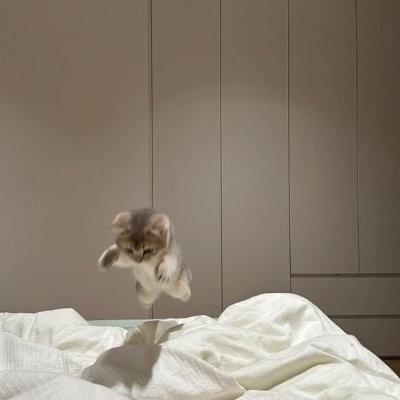 invia Larknite's profile picture
