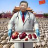 海藻 的头像