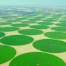 Фото профиля حرية الرأي 🇮🇶🌹