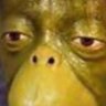 Hi profil fotoğrafı