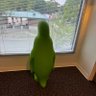FriendOfTheGuy profil fotoğrafı