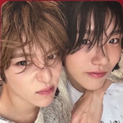 댕숀 아카이브's profile picture