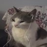 hhhqqiaa profil fotoğrafı