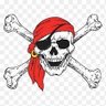 pirate captain 的头像