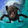 Buba's profile picture