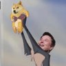 DogeCoin is the Future's profile picture