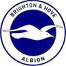 Brighton & Hove Albion On This Day #BHAOTD profil fotoğrafı
