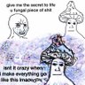 shroom's profile picture