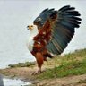 ABOSULTAN profil fotoğrafı