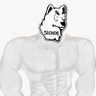 Buff Husky 的头像