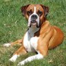 Profilbild von RemoWilliams