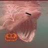 SPOOKY sharkpog 🎃 profil fotoğrafı