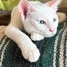 たかみな's profile picture
