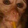 Profilbild von x