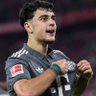 🇩🇪 FCBayernUnsereLiebe🇺🇲 的头像