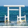 サブアカ 📰 的头像