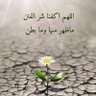 Profilbild von ساره 🇴🇲