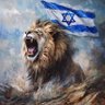 shlomo yehuda 的头像