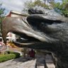 Alberto Mexico🌟 profil fotoğrafı