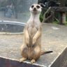 aa 的头像
