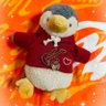 kanon's profile picture