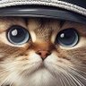 Фото профиля Panzerkatze