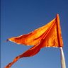 नट्टू काका !! 的头像