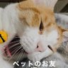 水野智仁's profile picture