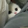 CEEN(ฝากคนใจดีรีปักหมุด🥺)'s profile picture