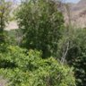 عباس رحیمی 的头像