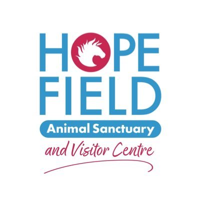 Hopefield_Essex's profile picture