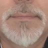 Herr Friese's profile picture