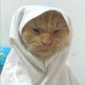 littlepororo𓆉𓆝 𓆟 𓆞 𓆝 𓆟𓇼 profil fotoğrafı