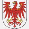 Deutscher Patriot profil fotoğrafı