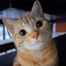 eatmenot profil fotoğrafı