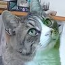 Profilbild von ひろ74