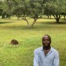 Blackie 的头像