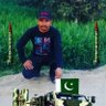 zulfinazk pk profil fotoğrafı