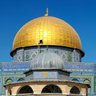 Фото профиля Faizan 🇮🇳🤝🇵🇸
