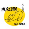 Притулок Мурчики Київ's profile picture